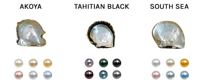 Akoya Tahiitian And South Sea Pearl Varieties