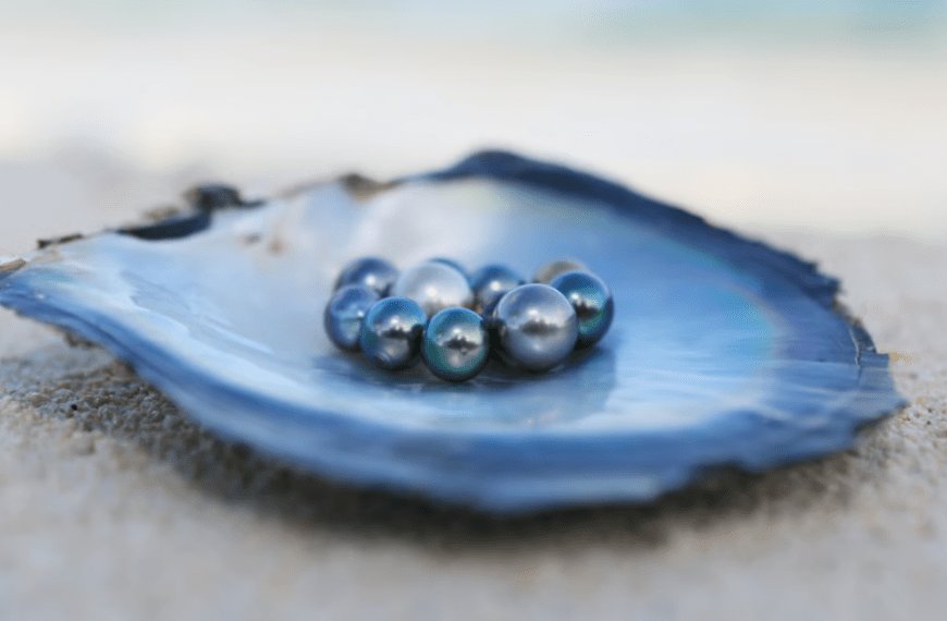 Discovering Blue Tahitian Pearls: A Unique Twist on Classic Elegance