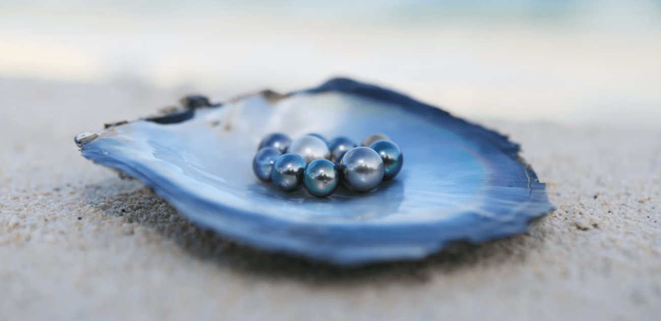 Discovering Blue Tahitian Pearls: A Unique Twist on Classic Elegance